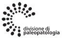 Paleopatologia